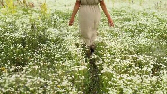 穿着衣服的女人走在鲜花盛开的草地上在乡村