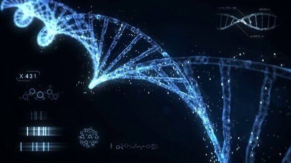 数字DNA