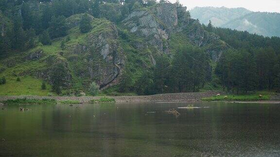 湖畔有多岩石的山丘和野生森林