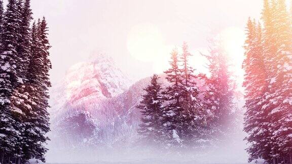 动画景观与冬季风景和杉树森林覆盖的雪