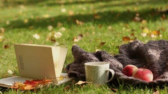 秋天的构图在光自然的背景上在公园里翻开书喝上一杯热茶穿上一件舒适的毛衣躺在落叶的秋草上