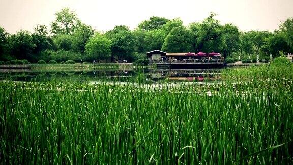 北京植物园水池时光流逝