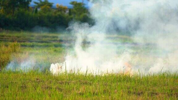 火灾烧毁了农村的草地和稻田空气中的火焰和烟雾污染了环境