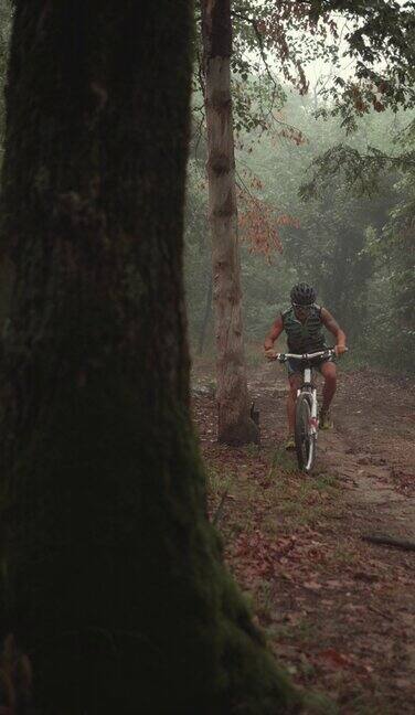 一名男子在森林中骑着山地车的垂直镜头