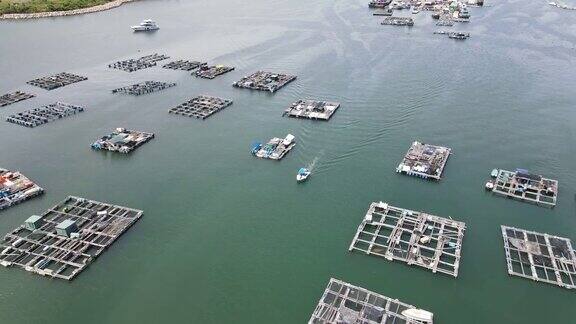 香港南丫岛索罟湾的海鱼养殖筏子