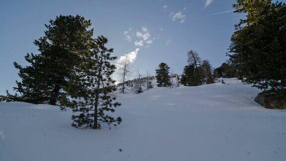 冬天日落在树和雪山时间流逝多莉拍摄