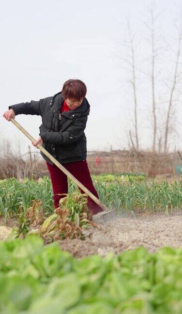 一位亚洲农民在花园里给蔬菜浇水这是一种健康的生活方式