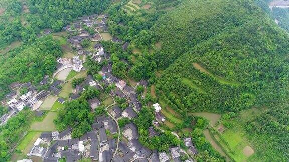 梯田水稻和农场在山区和农村与工人