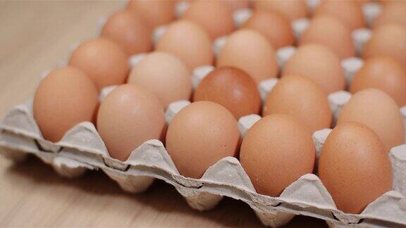 鸡蛋挤压机充满新鲜鸡蛋在黑色的背景