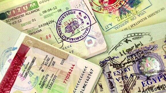 持签证的国际护照