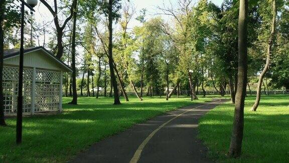 在夏天沿着公园里的小路散步