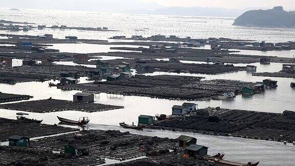 福建霞浦农民在海边养殖鲍鱼在水中放入大量笼子他们生活在海面上