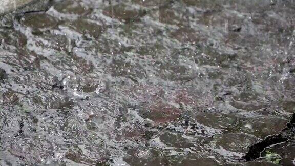 慢镜头热带降雨的水滴落在人行道上
