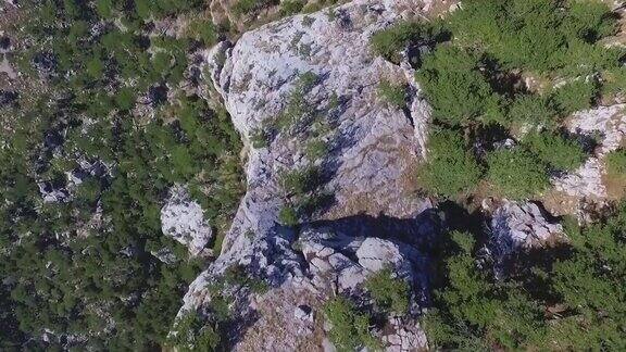 鸟瞰山景的航拍视频射杀岩石松树俯视图