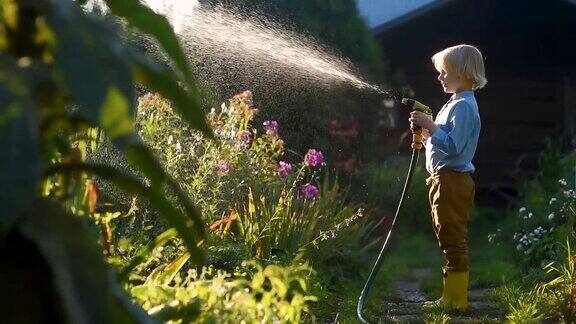 小男孩在洒满阳光的后院给花坛浇水玩花园软管学龄前儿童与喷水乐趣儿童夏季户外活动