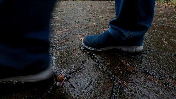 穿着浅蓝色布鞋的脚走在潮湿的天然石砌路面上上面躺着秋天的彩色落叶
