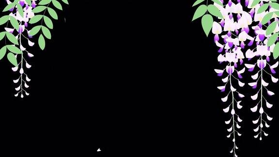 背景帧动画视频与摇曳的紫藤花簇
