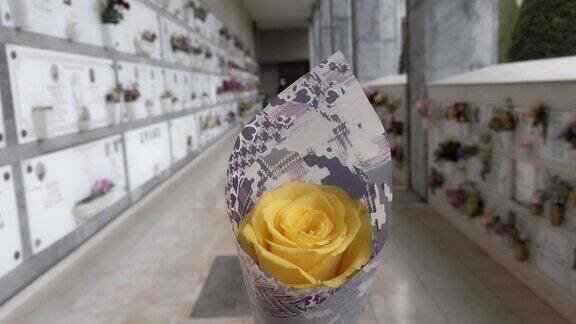 走着走着手捧黄玫瑰在墓地的长廊里为死者送花