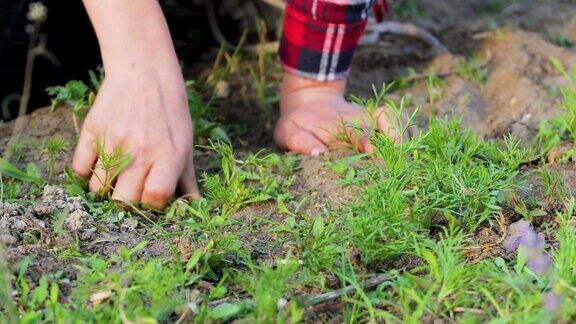暑假期间女孩在花园里用手拔杂草在家帮忙干农活