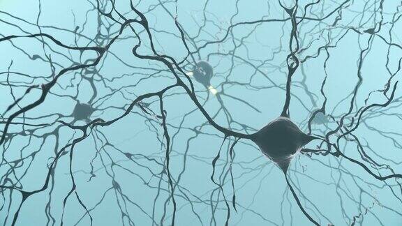脑内神经元簇信号传递三维模型