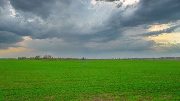 绿色田野和风暴云全景延时