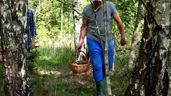 一对男女提着装满蘑菇的篮子在森林里散步
