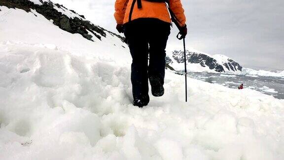 行走在彼得曼岛和冰山上南极半岛南极洲