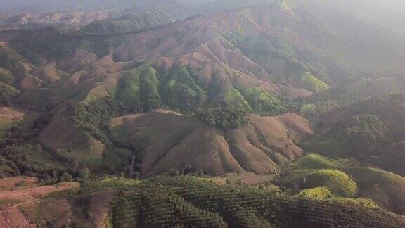 空中拍摄的气候变化破坏了山上的森林