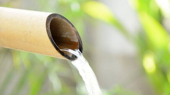 水从干竹秆中流出