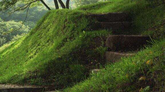 在绿草如茵的小山上的森林里一个古老的石头楼梯的台阶