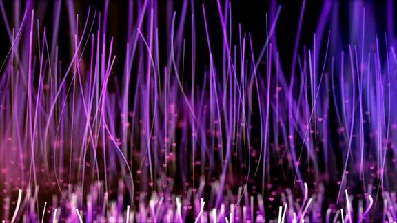 紫色的线和点组成的网络