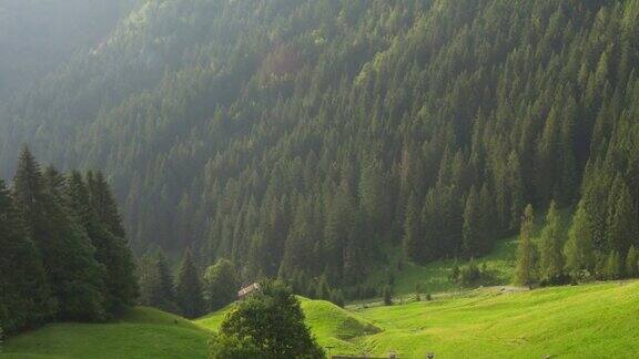 意大利野生高山山谷和森林中的石头小屋