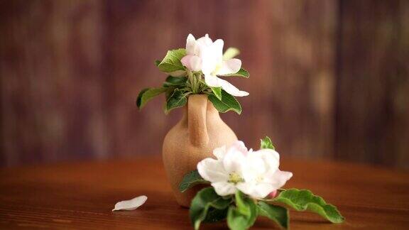 春天的粉红色苹果树花在一个粘土花瓶