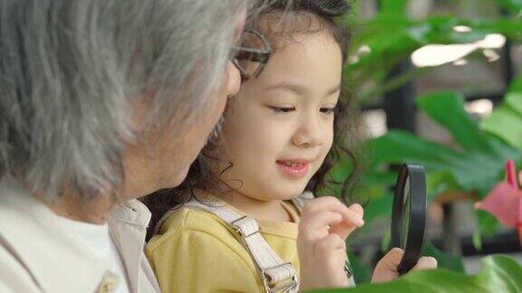 爷爷用放大镜教孩子生物学在家种植植物家庭教育
