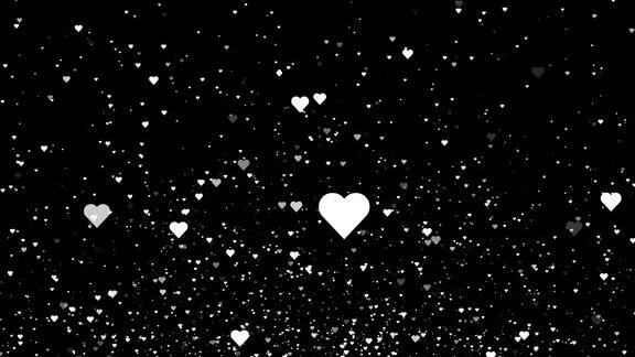 白色的心在黑色的背景上飞翔情人节动画背景4k