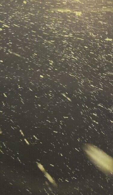 降雪