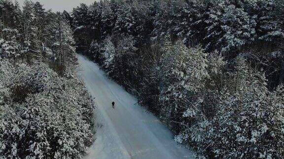 冬日漫步在松林景观中的人下雪的天气无人机的画面旅游癖和旅游理念很多雪和结冰的树4k的视频