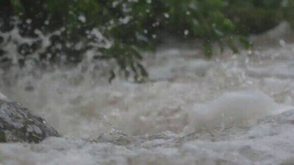 一场瓢泼大雨弄湿了河岸上的植被后山河湍急地奔流带着泡沫和溅水的急流跳过岩石