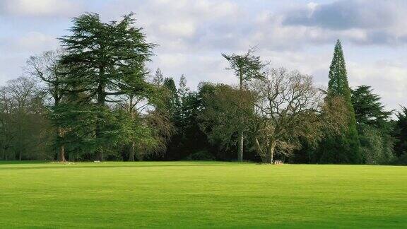 美丽的英国乡村风景绿色的草坪和树木在一个阳光明媚的日子在英格兰英国