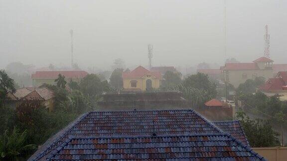 热带风暴带来暴雨强风吹倒棕榈树和房屋