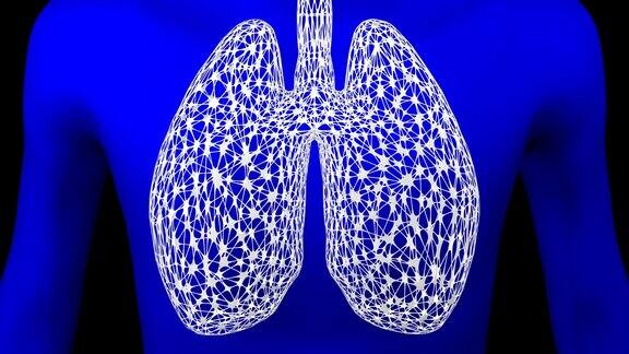 概念:肺