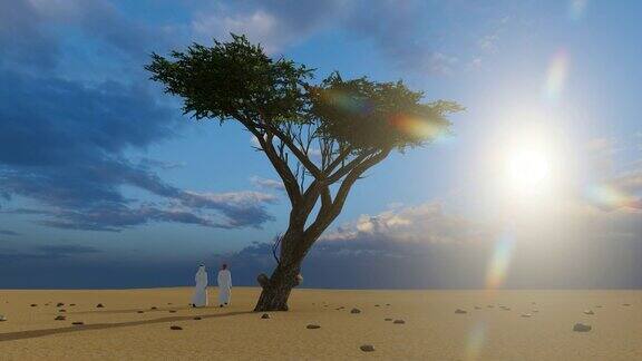 阿拉伯人在沙漠中靠近一棵树行走日落时分3D