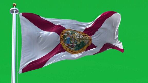 佛罗里达州的州旗在绿色的背景上孤零零地飘扬着