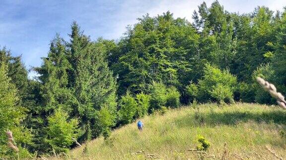 4K镜头的背包客在高草带背包和徒步杖旅游徒步旅行自然广角概念视频斯洛伐克共和国泰特拉山脉马拉法特拉地区的Vratna山谷
