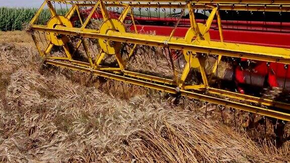 联合收割机收获成熟的小麦