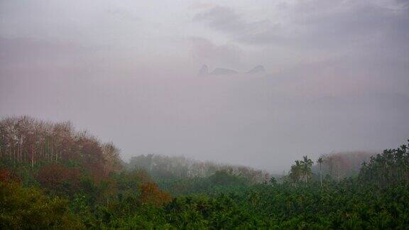 山区云雾散开景观