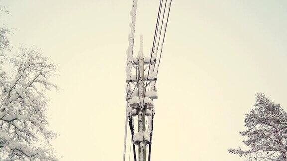 仔细看看被雪覆盖的柱子上的电线