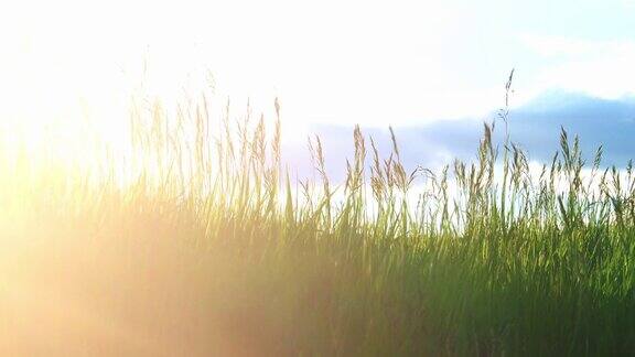 山间草地的日落