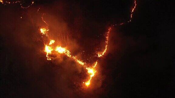 夜间森林火灾鸟瞰图