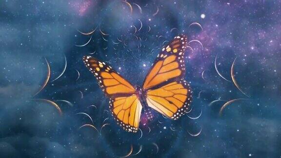 银河分形中的蝴蝶